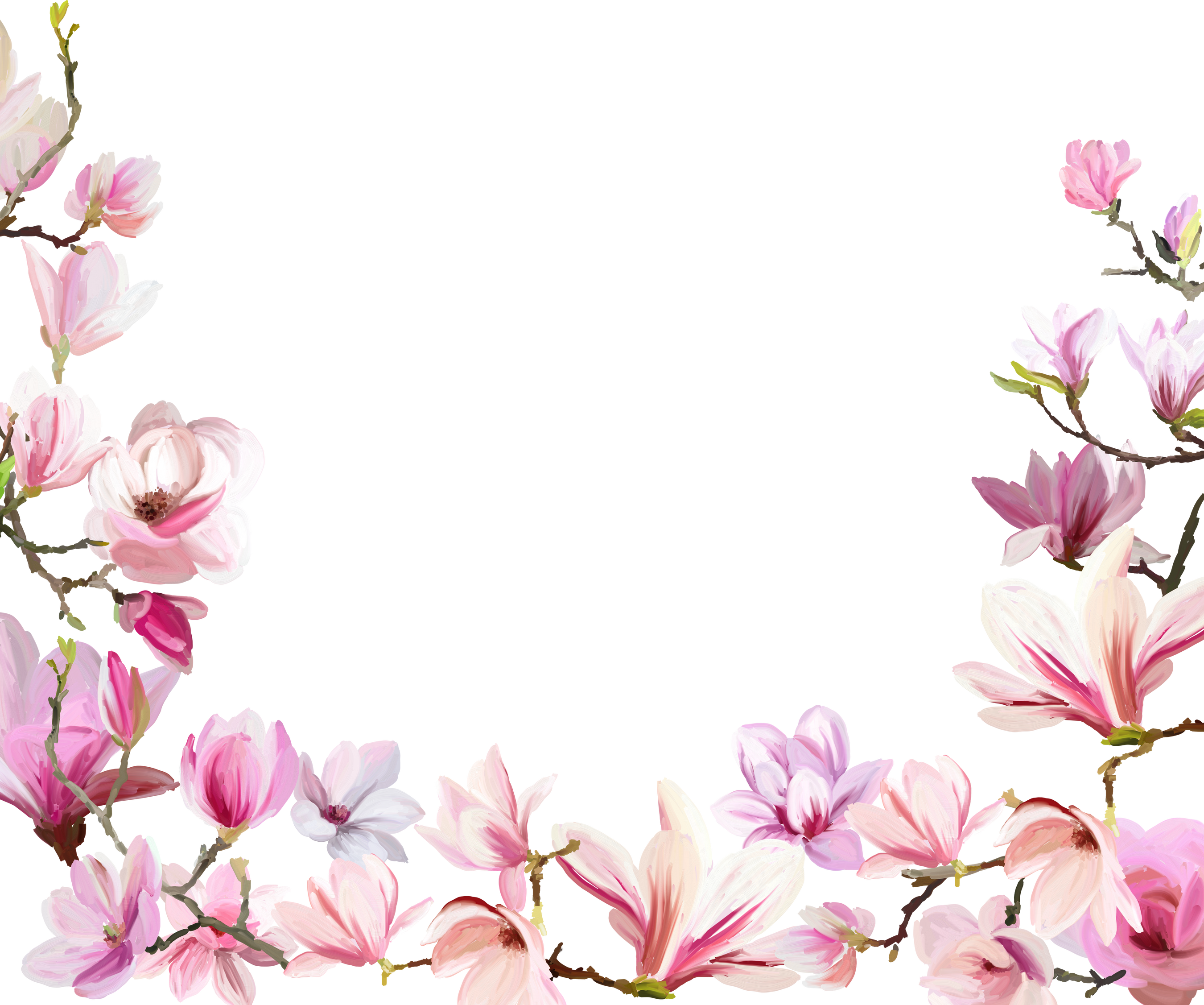 Frame of magnolia flowers. Floral spring template